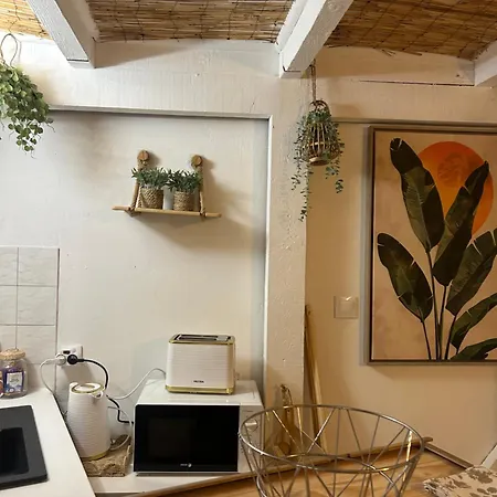 Duplex Le Nusa Appartement Perpignan